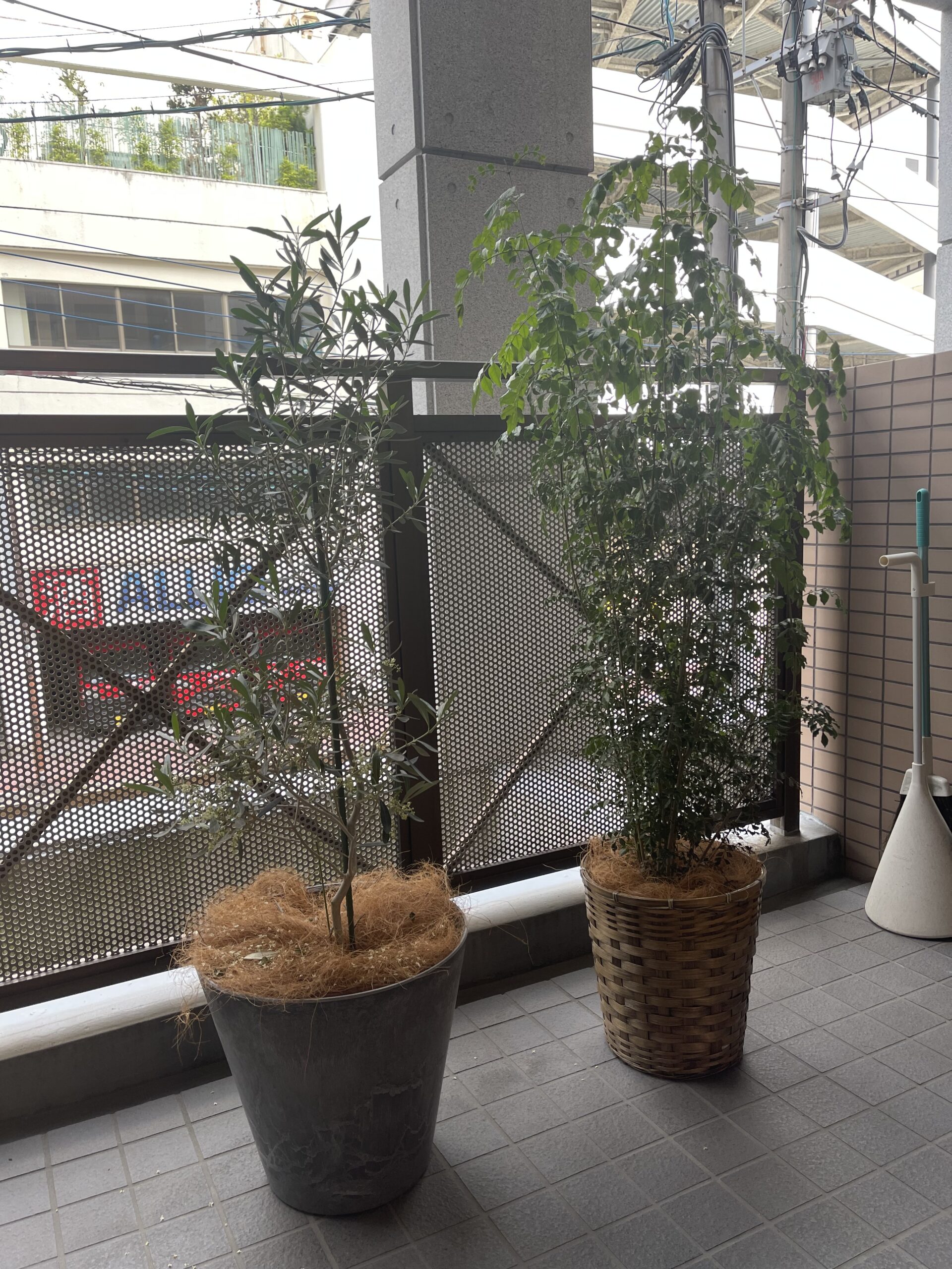 こんにちは