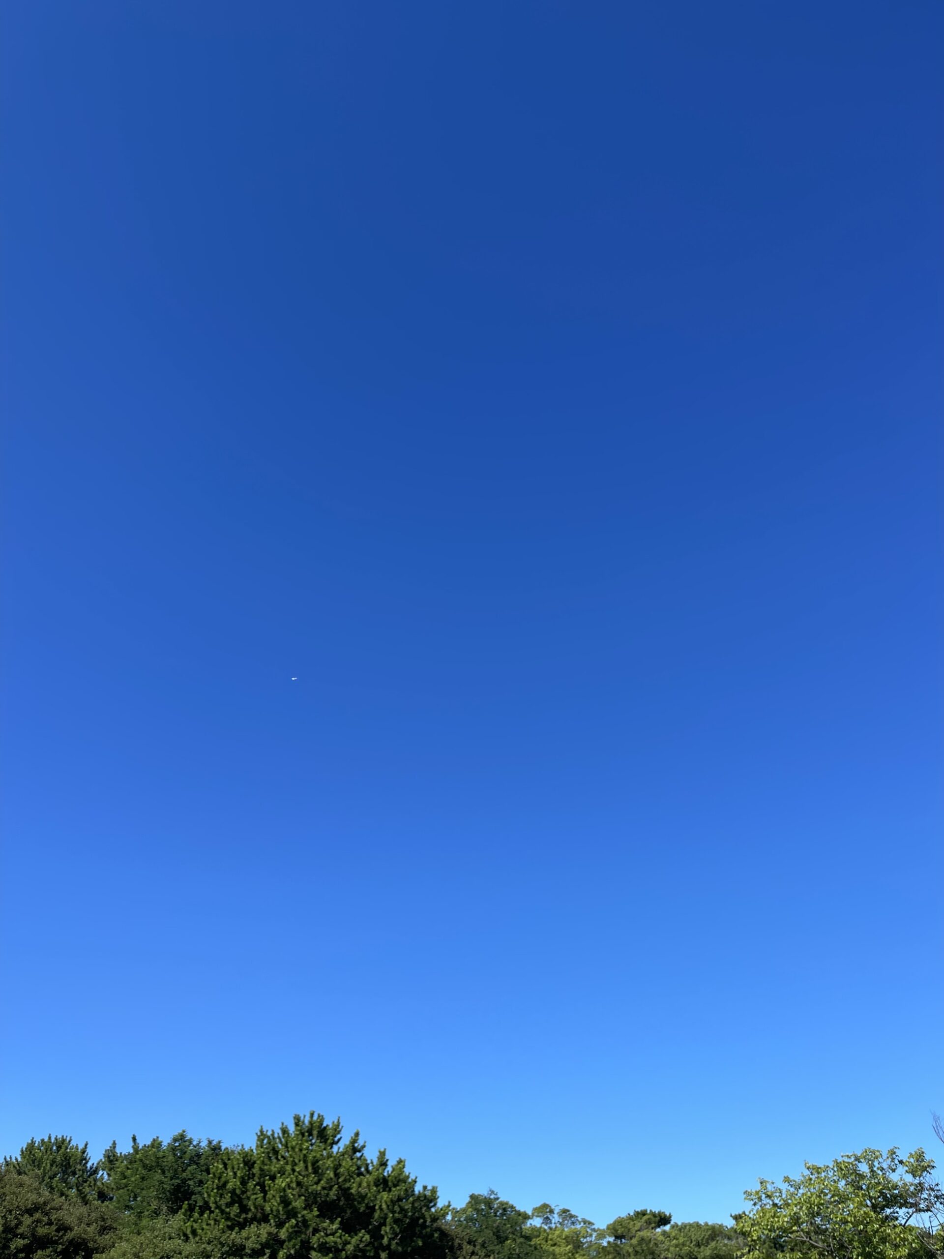青、そして青。