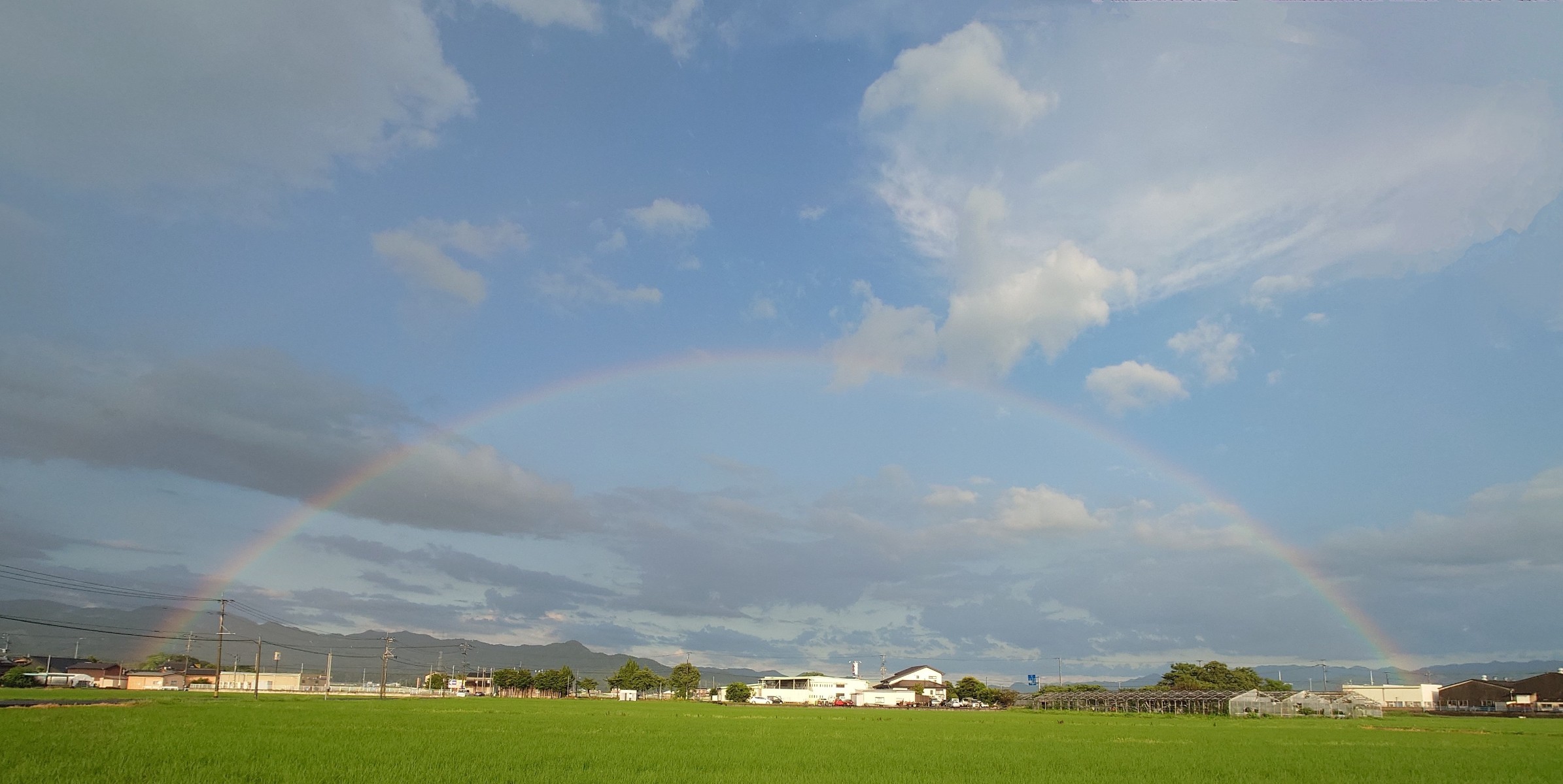 虹が出てました🌈