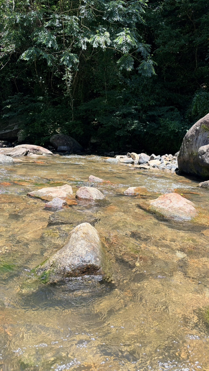 夏休みを前に、自然の中でひと息